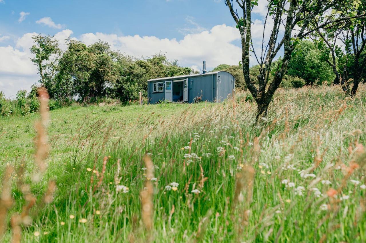 Blatchford Briar - Award Winning Private Shephards Huts With Their Own Secluded Hot Tubs Milton Abbot Exterior photo